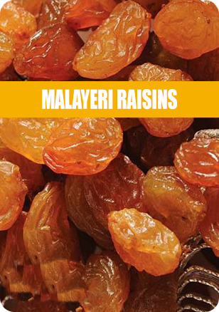 malayeri-raisins-pro
