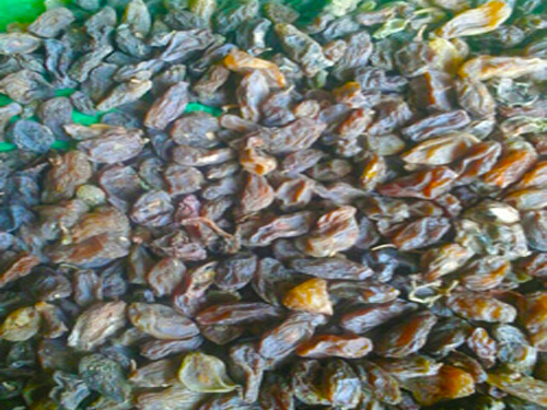 Bushra Sun Raisin (BSR)