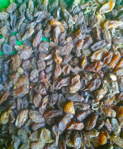 Bushra Sun Raisin (BSR) Bushra Sun Raisin (BSR)