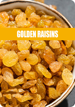 Bushra Sun Raisin golden raisins Bushra Sun Raisin golden raisins